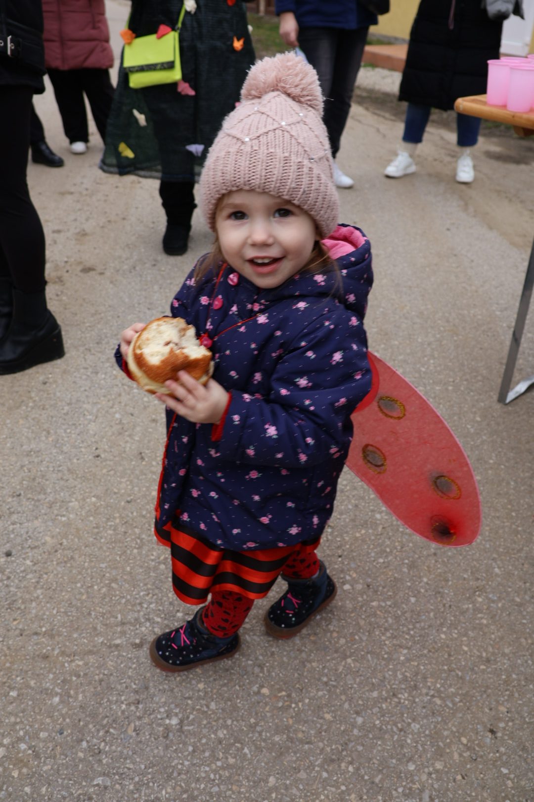 Fašnik Donji Vidovec (6) Fašnik Donji Vidovec (6)