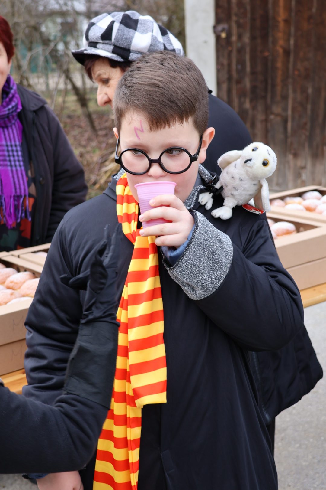 Fašnik Donji Vidovec (79) Fašnik Donji Vidovec (79)