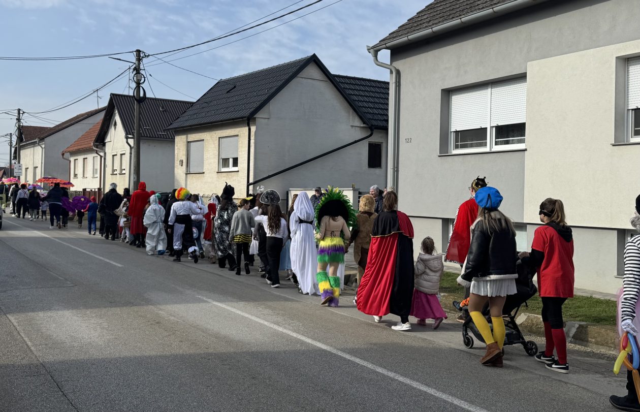 Fašnik Gardinovec (4)
