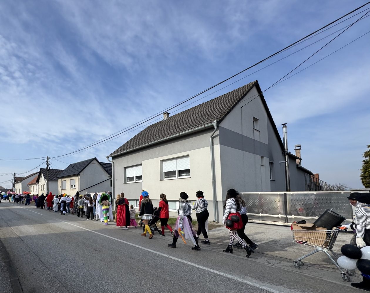 Fašnik Gardinovec (5)