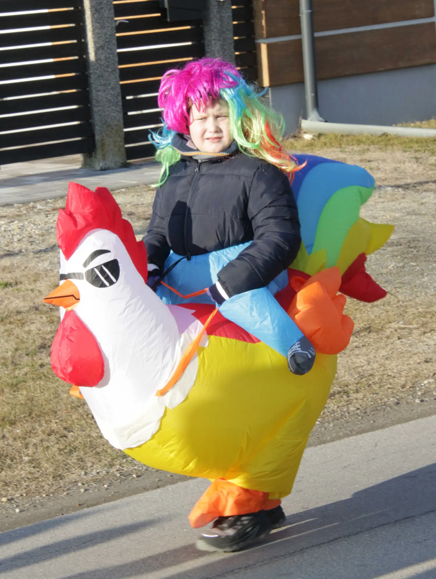 Fašnik Gardinovec, Maškarada 2025 (10) Fašnik Gardinovec, Maškarada 2025 (10)