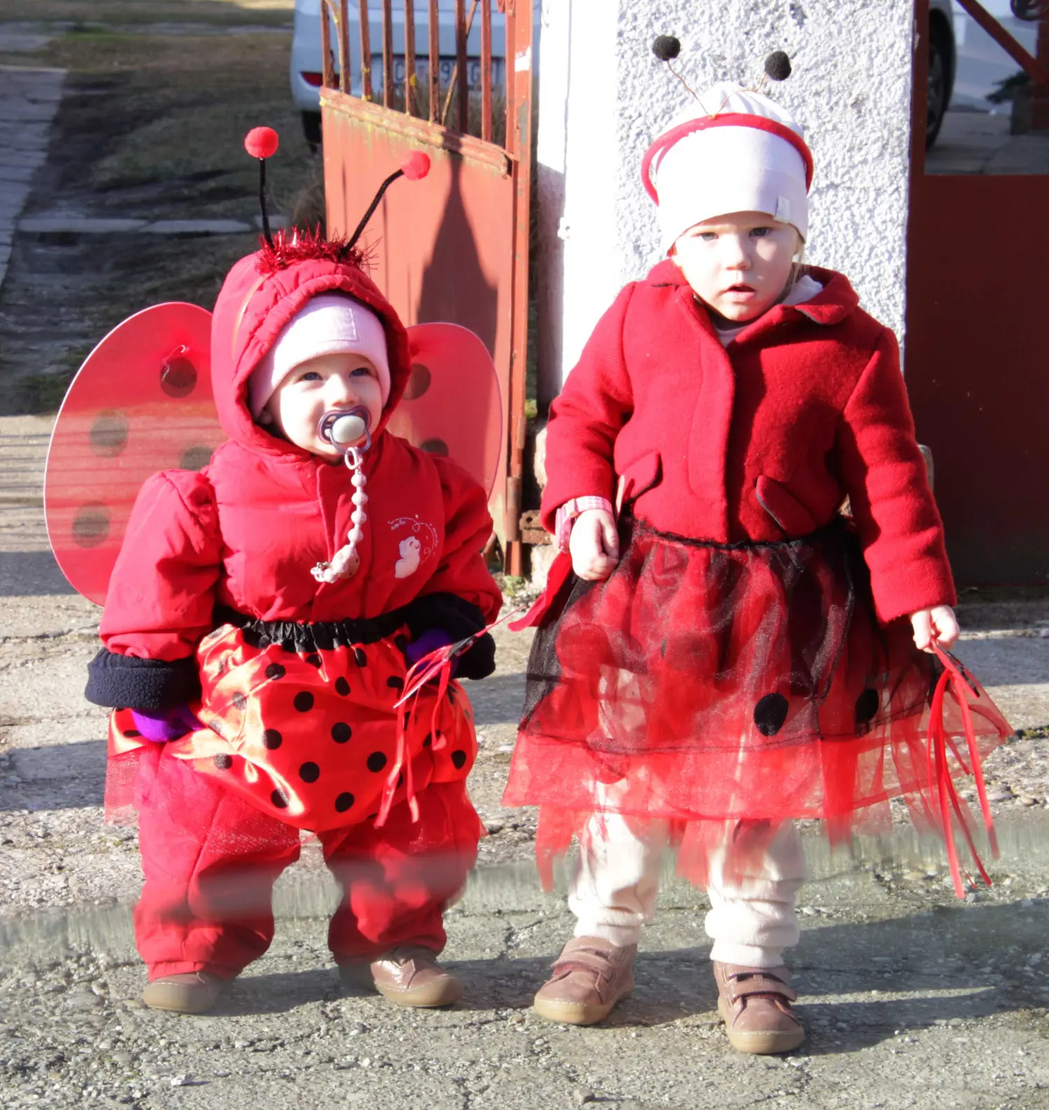 Fašnik Gardinovec, Maškarada 2025 (2) Fašnik Gardinovec, Maškarada 2025 (2)