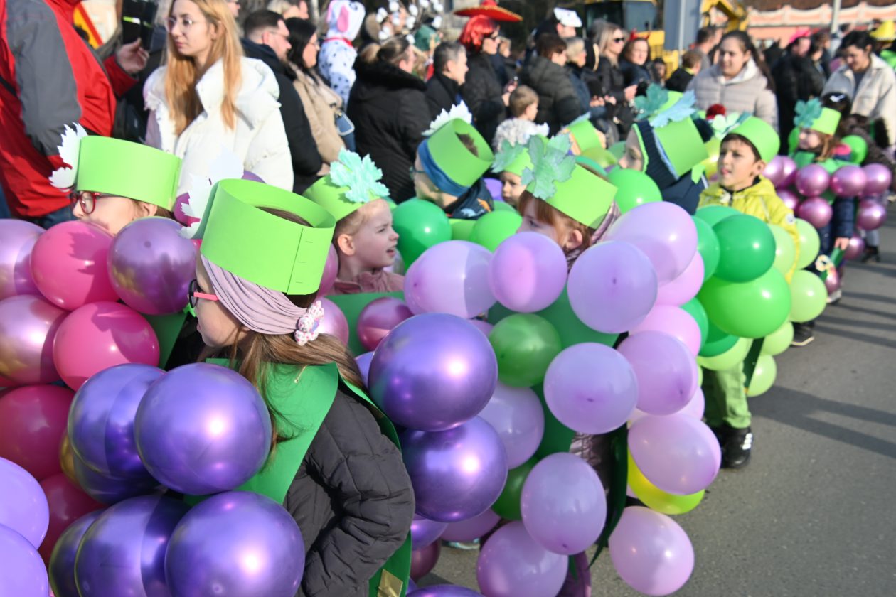 Fašnik Nedelišće 2026 (8)