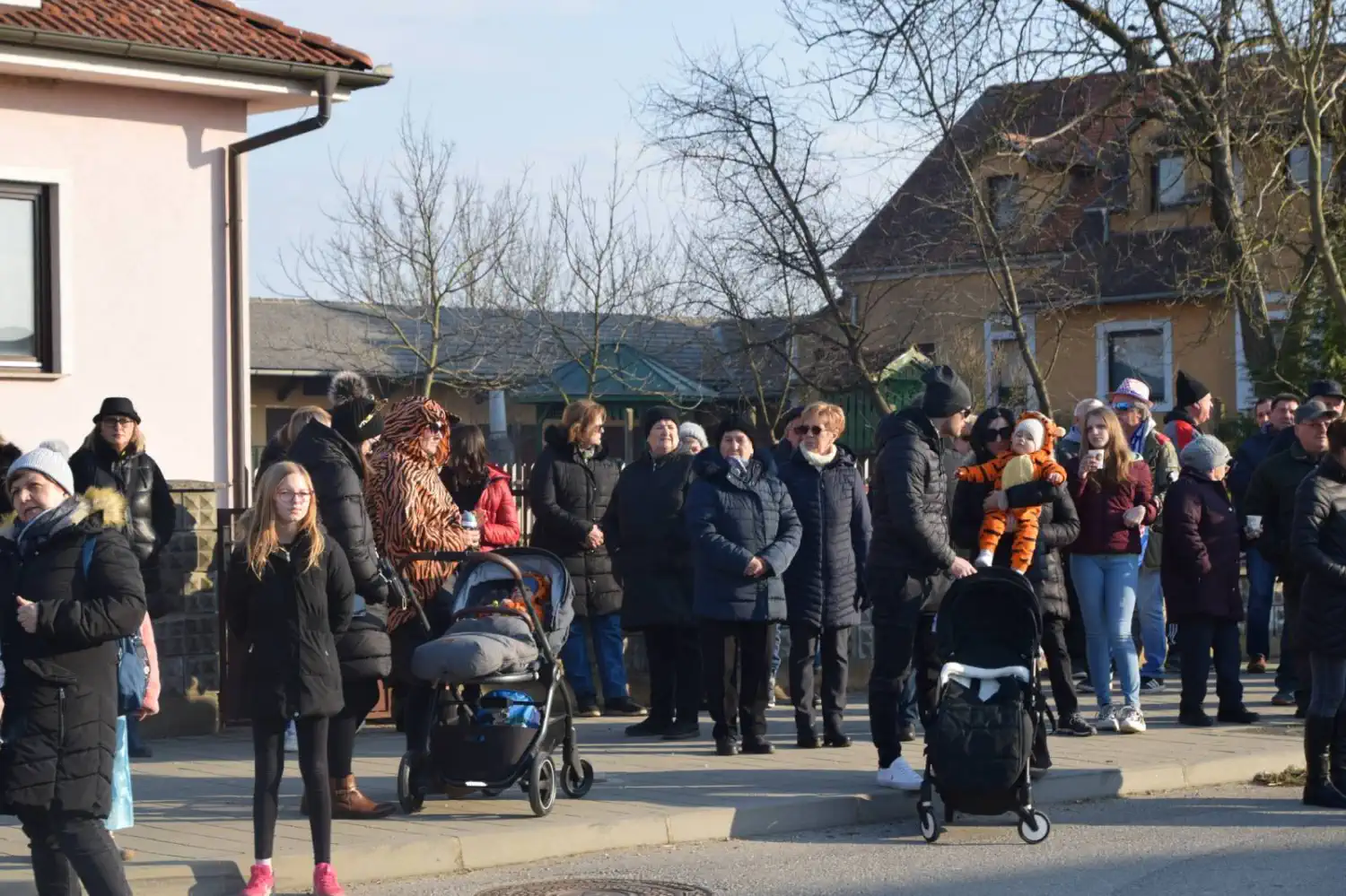 Fašnik Podturen 2025 (57) Fašnik Podturen 2025 (57)