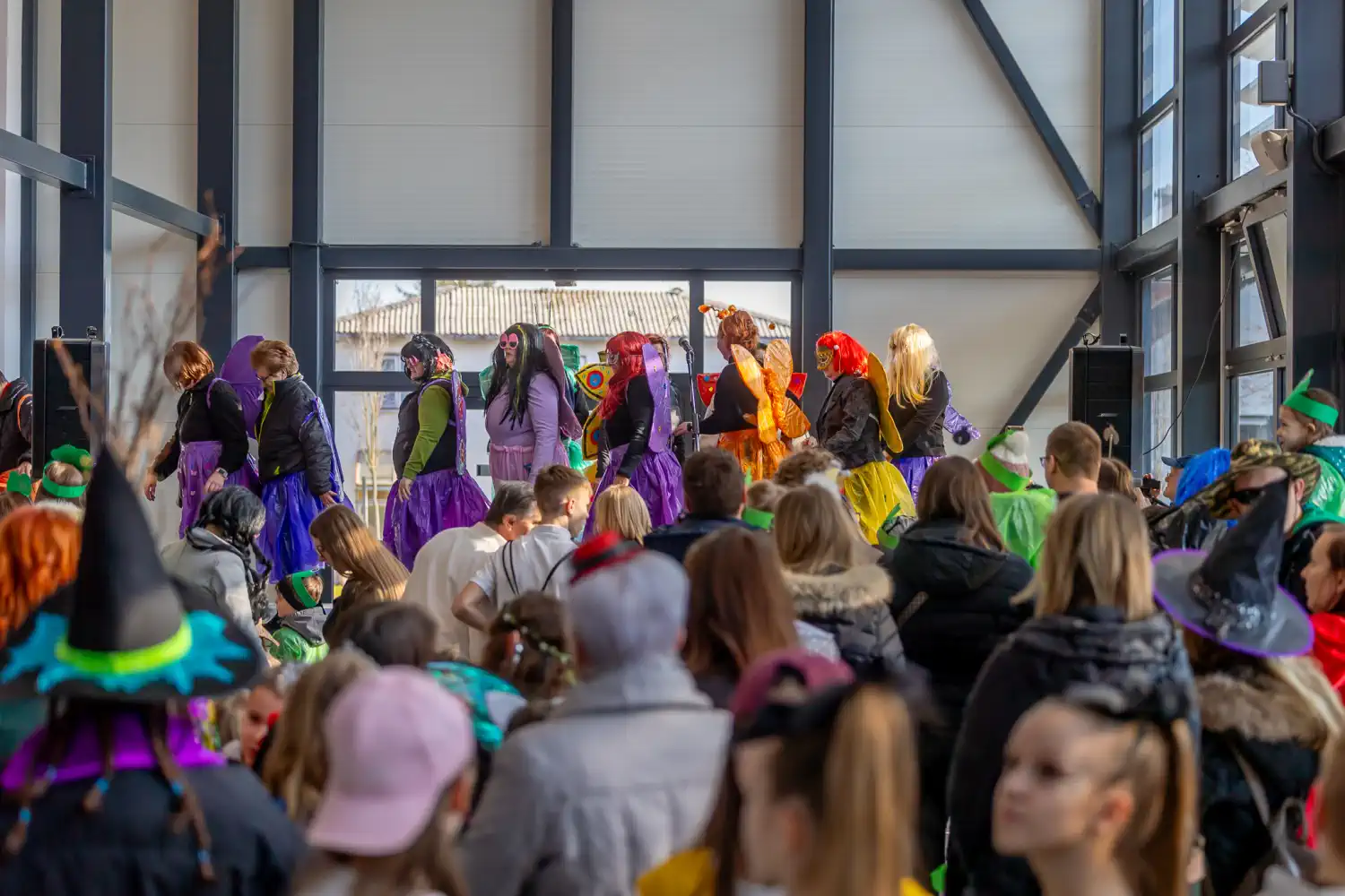 Fašnik Štrigova 2025 (23) Fašnik Štrigova 2025 (23)