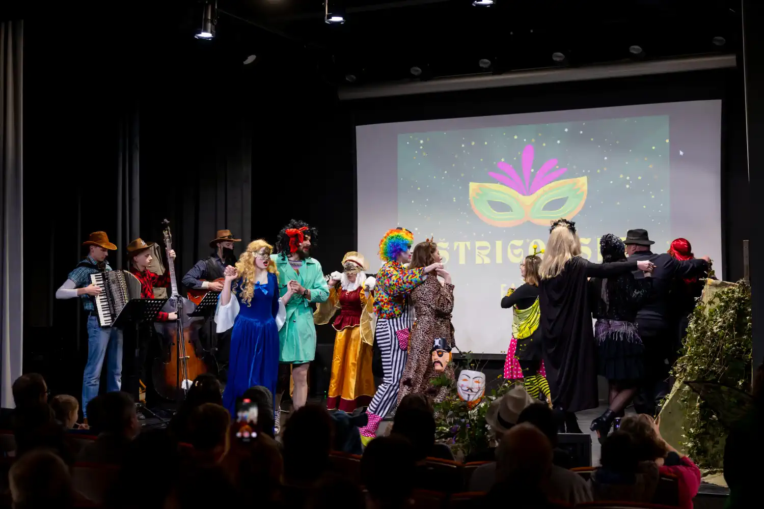 Fašnik Štrigova 2025 (39) Fašnik Štrigova 2025 (39)