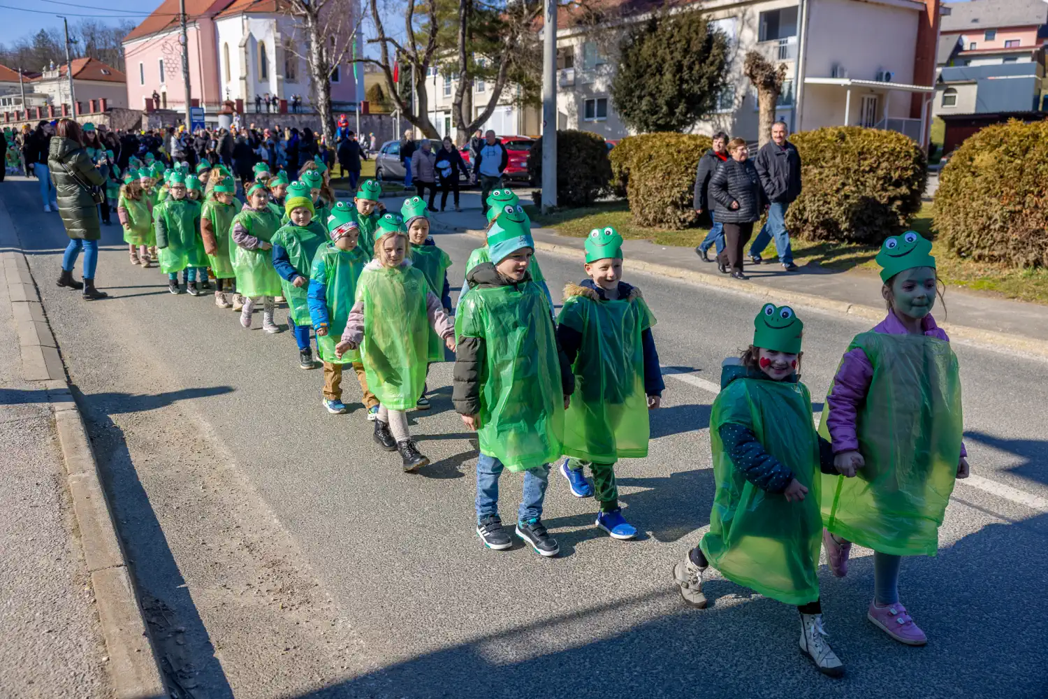 Fašnik Štrigova 2025 (41) Fašnik Štrigova 2025 (41)