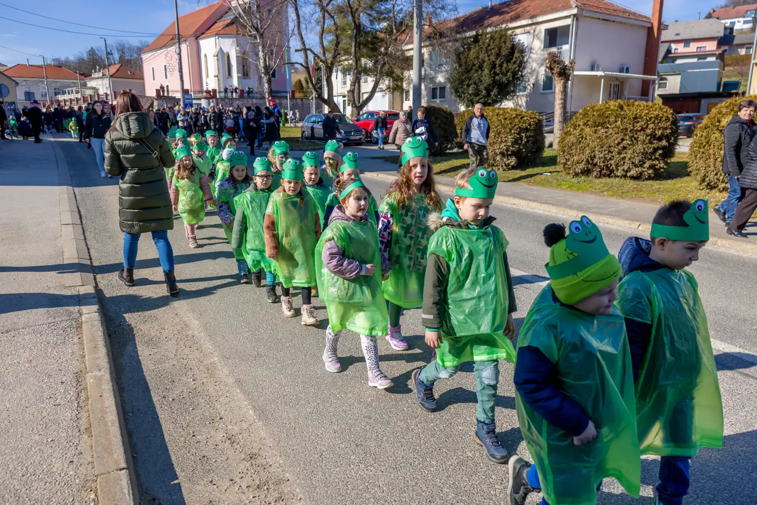 Fašnik Štrigova 2025 (42) Fašnik Štrigova 2025 (42)
