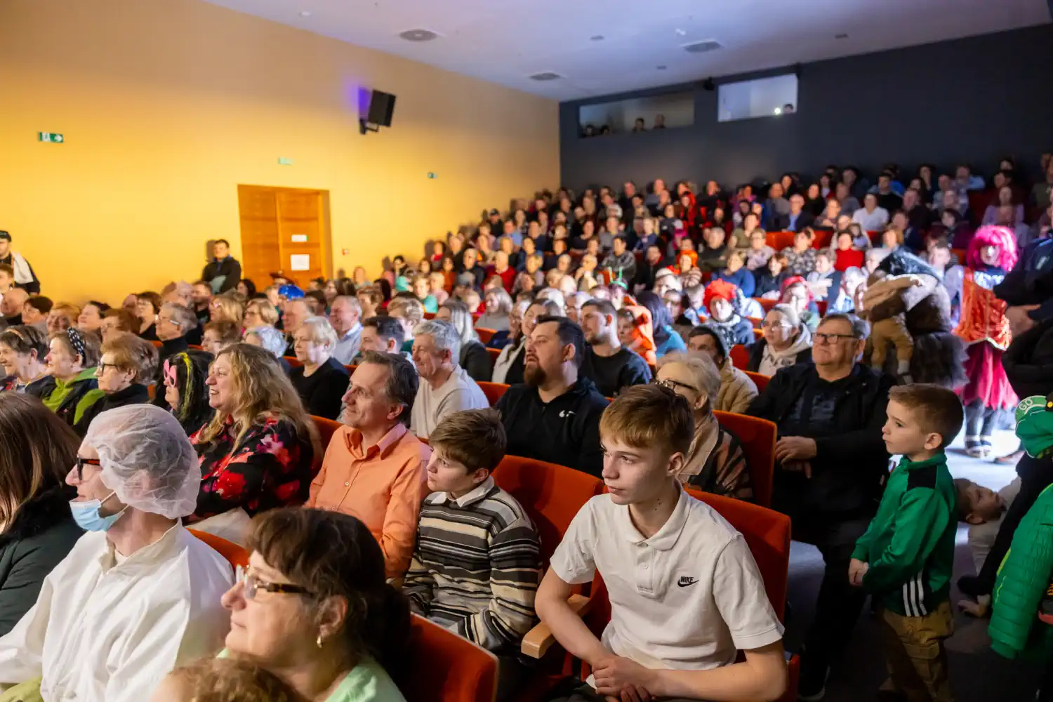 Fašnik Štrigova 2025 (5) Fašnik Štrigova 2025 (5)