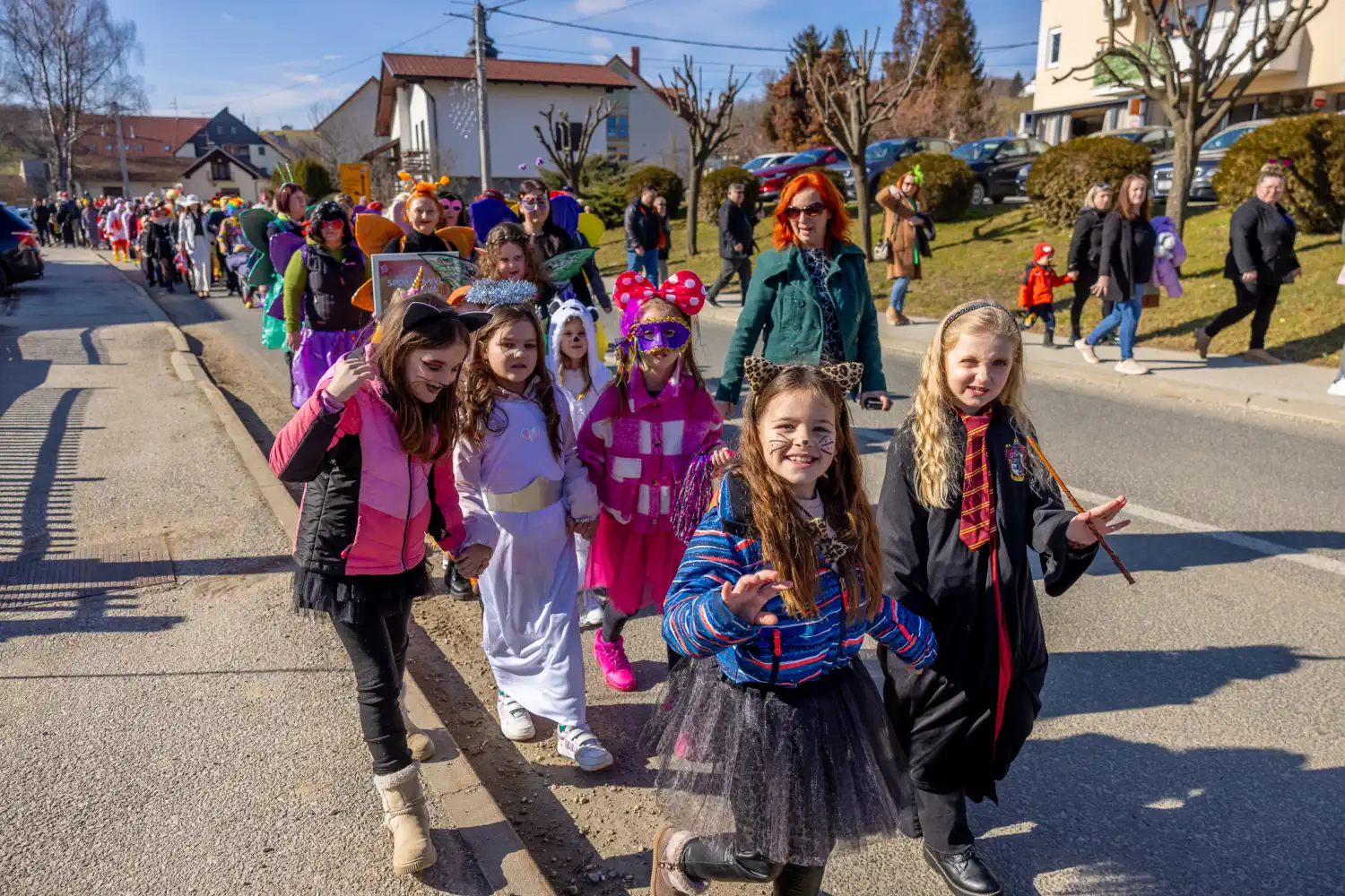Fašnik Štrigova 2025 (50) Fašnik Štrigova 2025 (50)