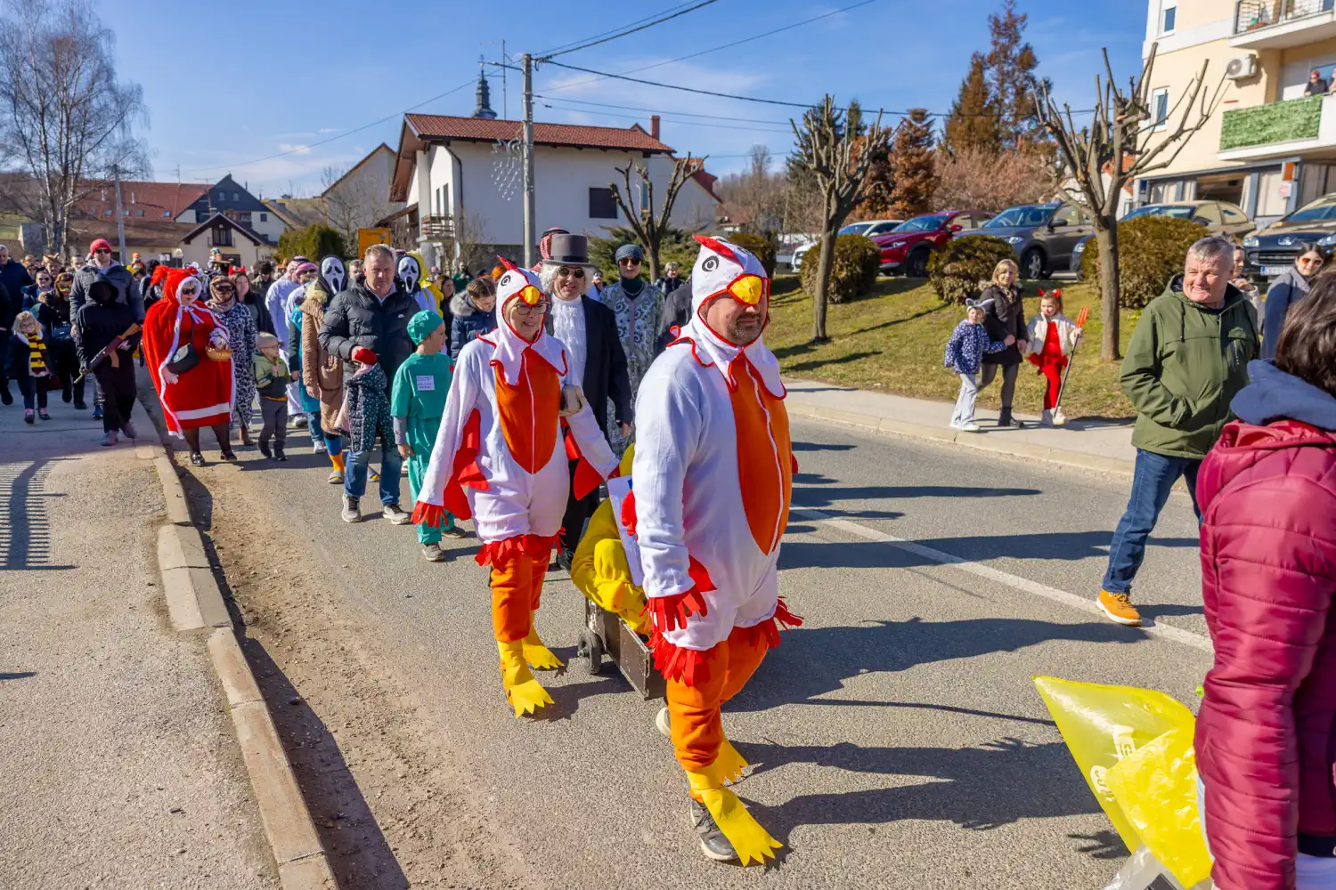 Fašnik Štrigova 2025 (54) Fašnik Štrigova 2025 (54)