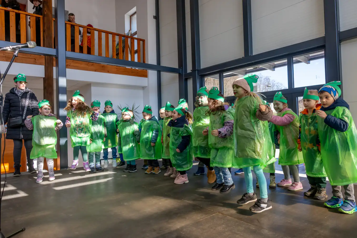 Fašnik Štrigova 2025 (59) Fašnik Štrigova 2025 (59)