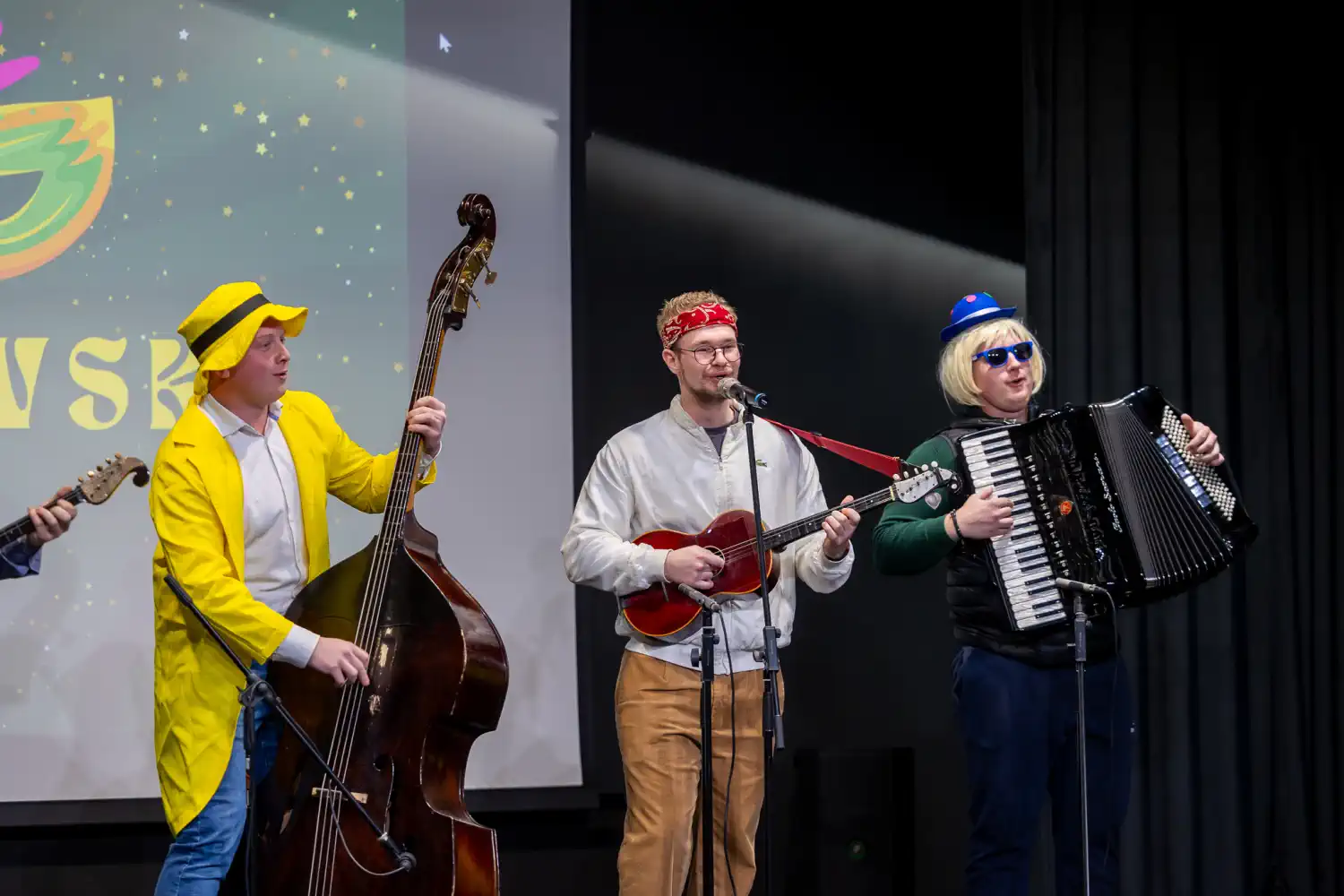 Fašnik Štrigova 2025 (9) Fašnik Štrigova 2025 (9)