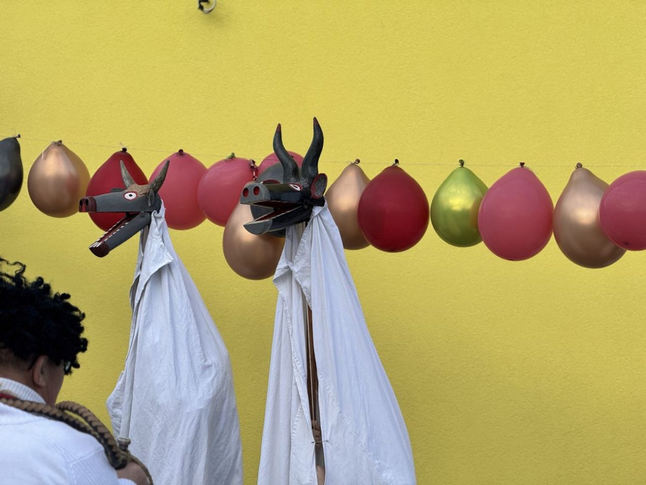 Fašnik maškare Dekanovec 2026 (59)