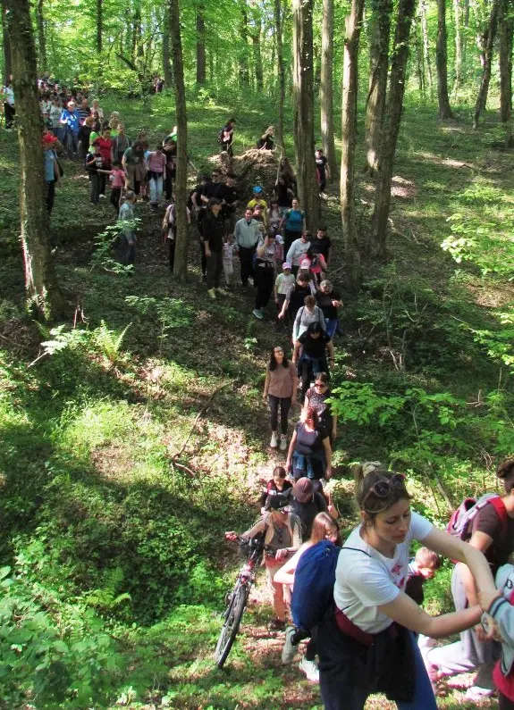 Feštetićeve staze – Brezje šuma šetnja (13)