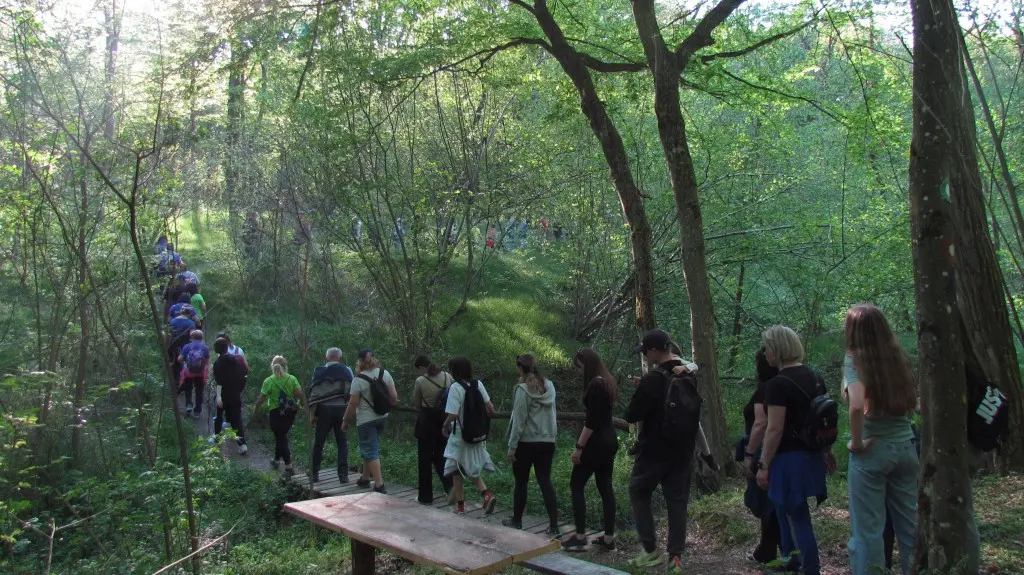 Feštetićeve staze – Brezje šuma šetnja (14)