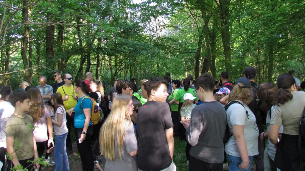 Feštetićeve staze – Brezje šuma šetnja (15)