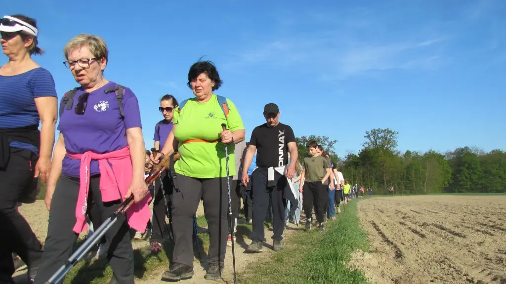 Feštetićeve staze – Brezje šuma šetnja (16)
