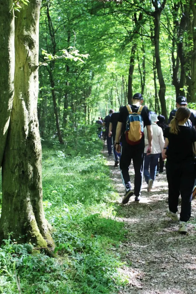 Feštetićeve staze – Brezje šuma šetnja (17)