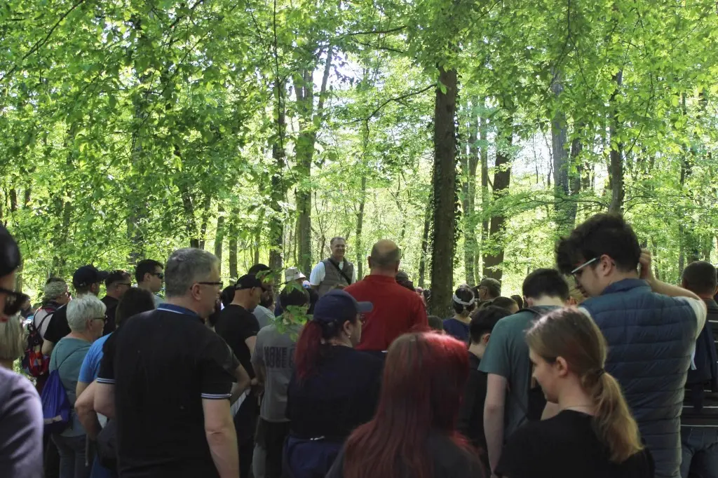 Feštetićeve staze – Brezje šuma šetnja (18)