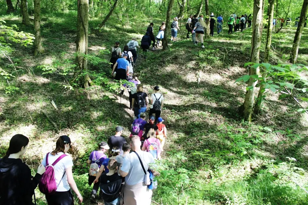 Feštetićeve staze – Brezje šuma šetnja (20)