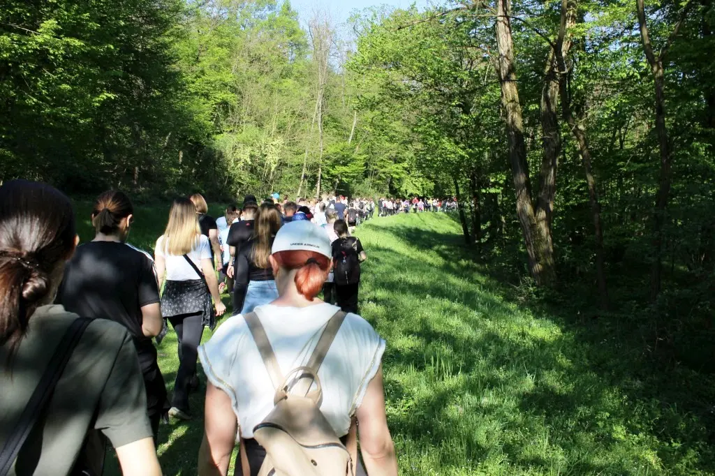 Feštetićeve staze – Brezje šuma šetnja (22)