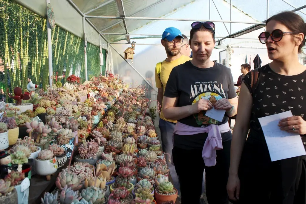 Feštetićeve staze – Brezje šuma šetnja (23)