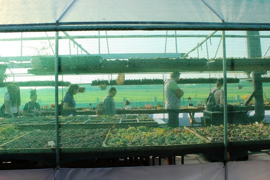 Feštetićeve staze – Brezje šuma šetnja (24)