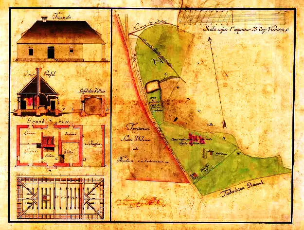 Feštetićeve staze – Brezje šuma šetnja (3)
