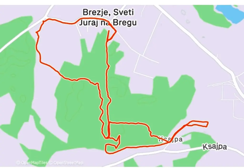 Feštetićeve staze – Brezje šuma šetnja (4)