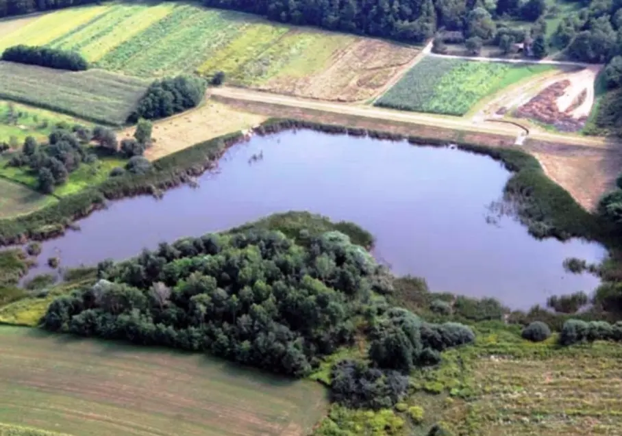 Feštetićeve staze – Brezje šuma šetnja (5)