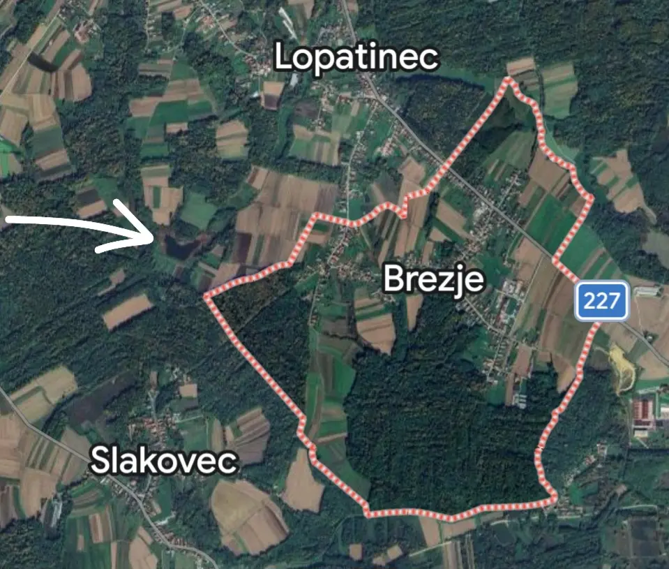 Feštetićeve staze – Brezje šuma šetnja (6)