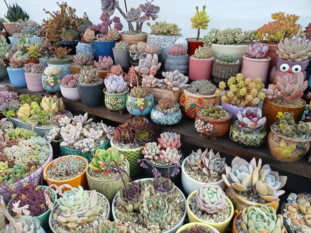 Feštetićeve staze – Brezje šuma šetnja (9)