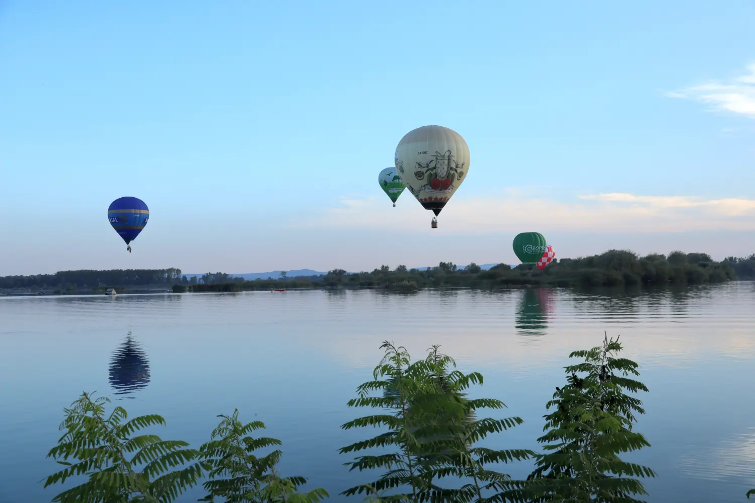 Festival Balona, Prelog, 30.8.2024 (57) Festival Balona, Prelog, 30.8.2024 (57)