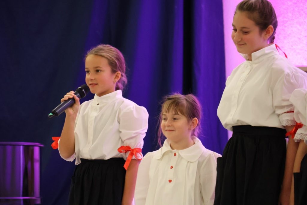 Festival Međimurskih melodija (19)