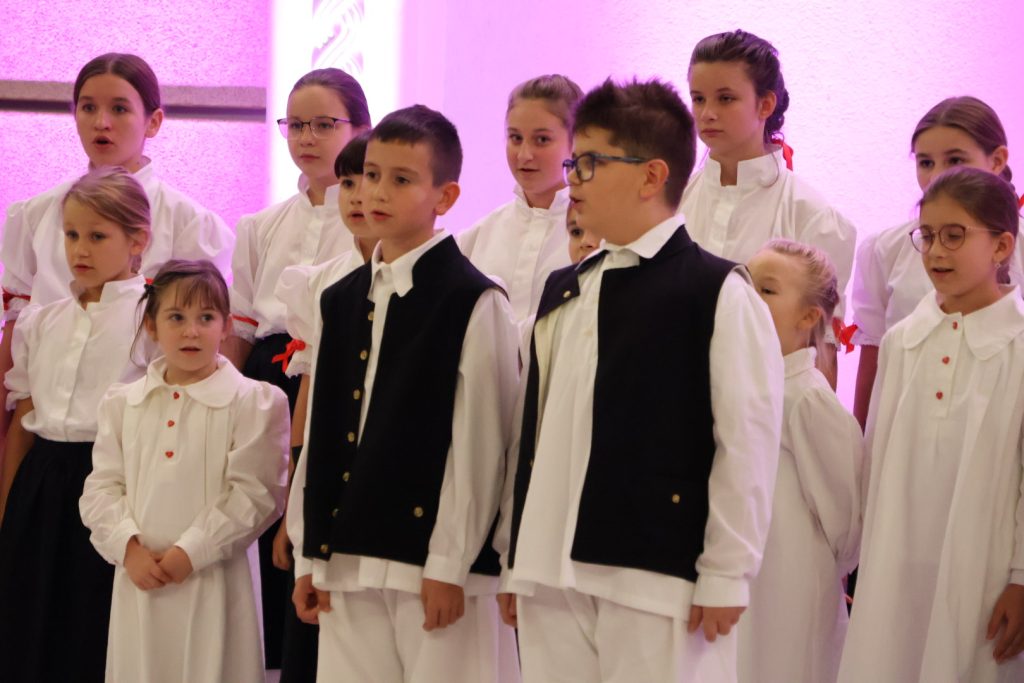 Festival Međimurskih melodija (22)