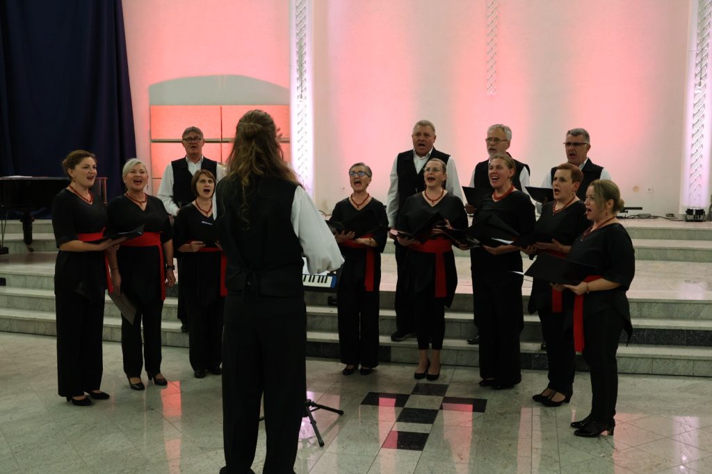 Festival Međimurskih melodija (29)