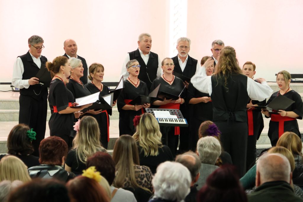 Festival Međimurskih melodija (36)