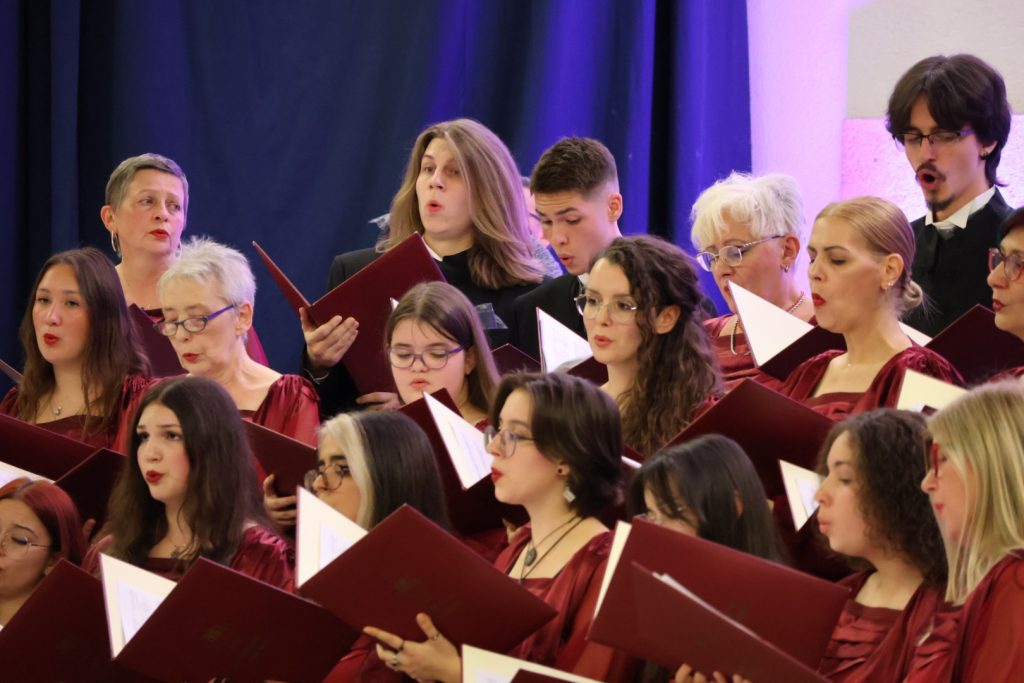 Festival Međimurskih melodija (45)