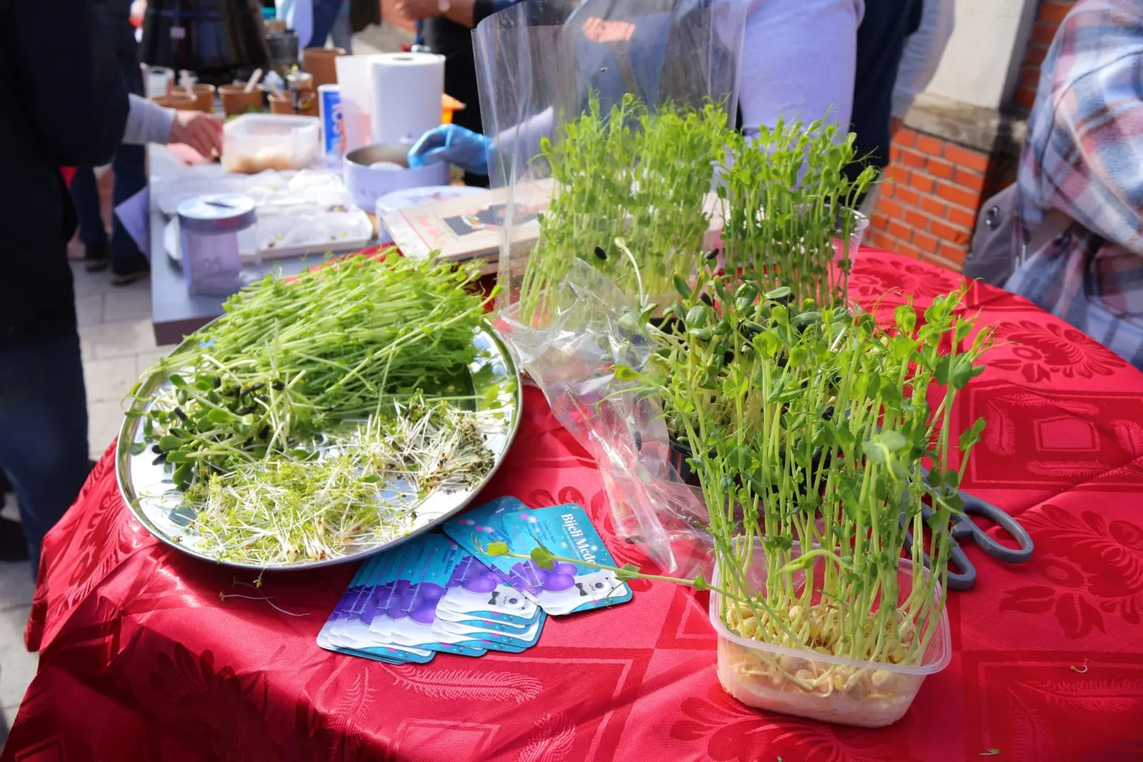 Festival Okusa 2024 (16)