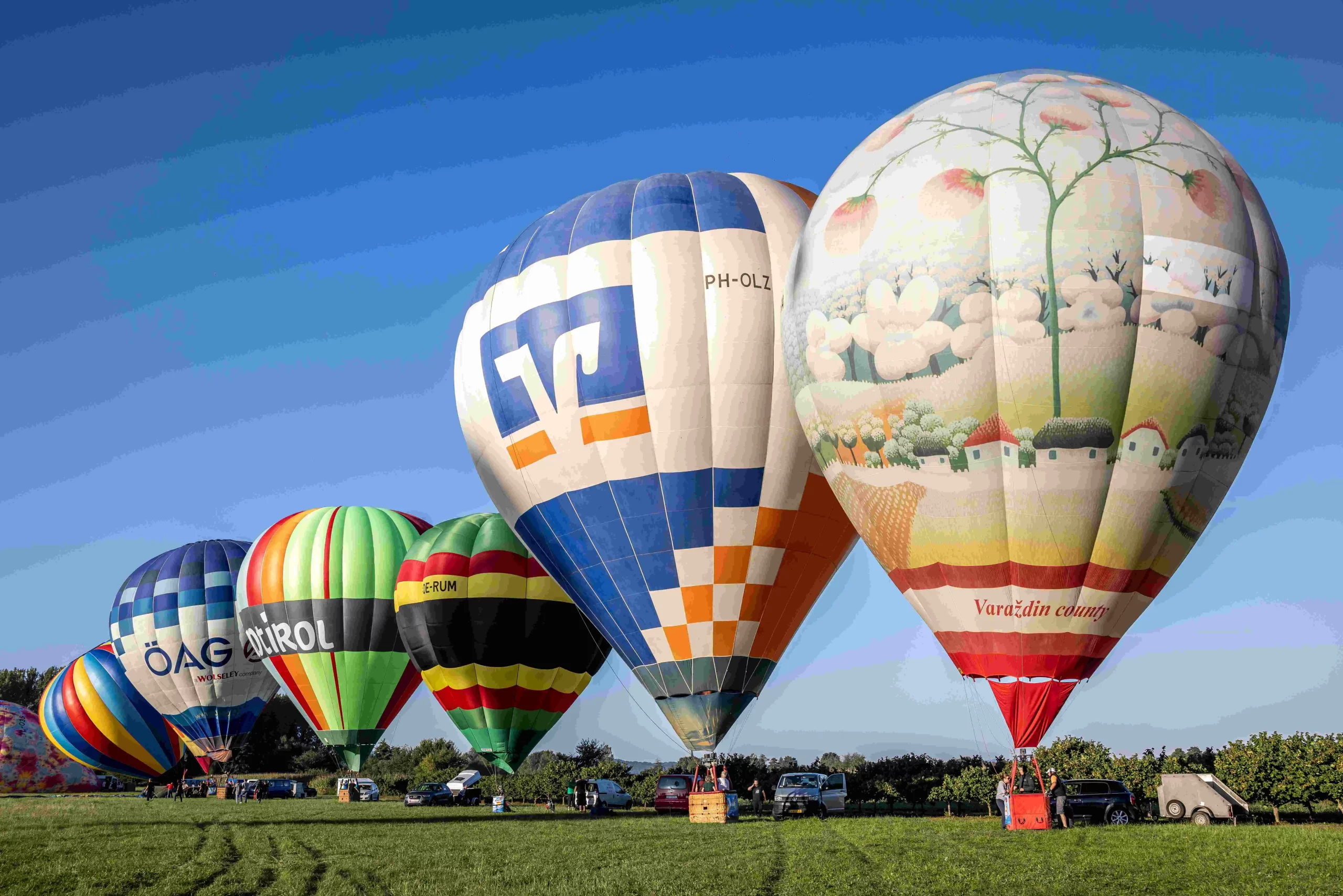 Festival balona na vrući zrak! (1)