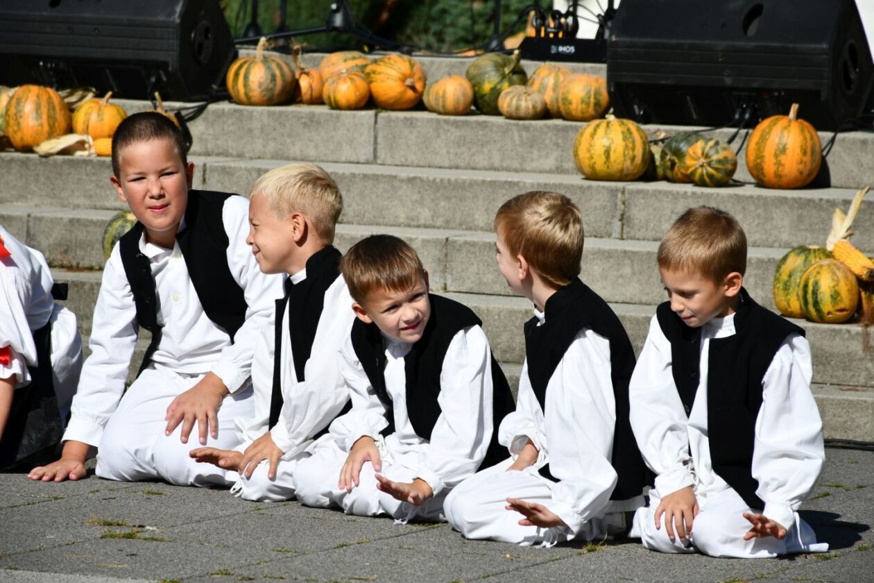 Festival črnog ulja Šenkovec (17)