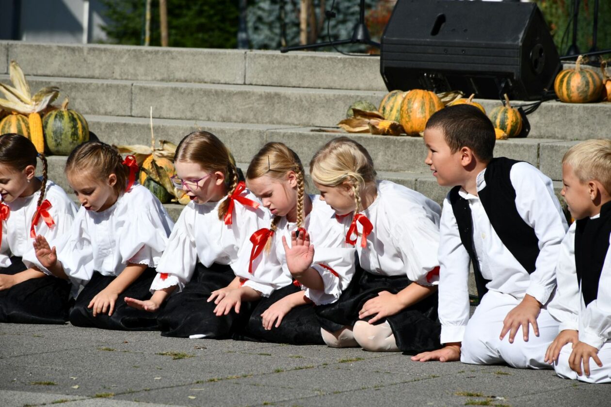 Festival črnog ulja Šenkovec (19)