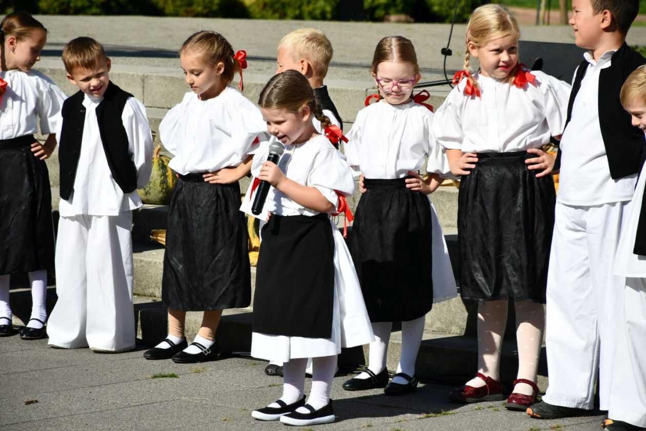 Festival črnog ulja Šenkovec (31)