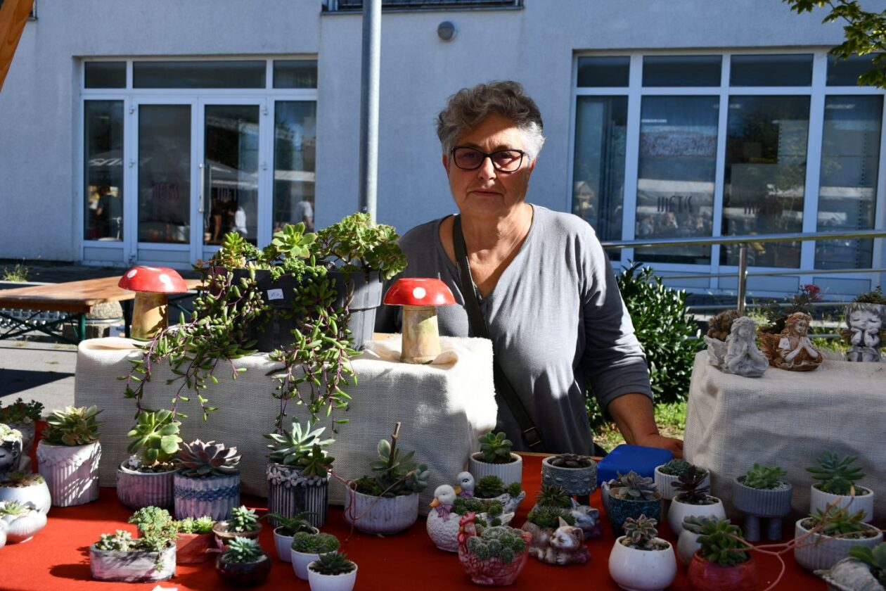 Festival črnog ulja Šenkovec (32)