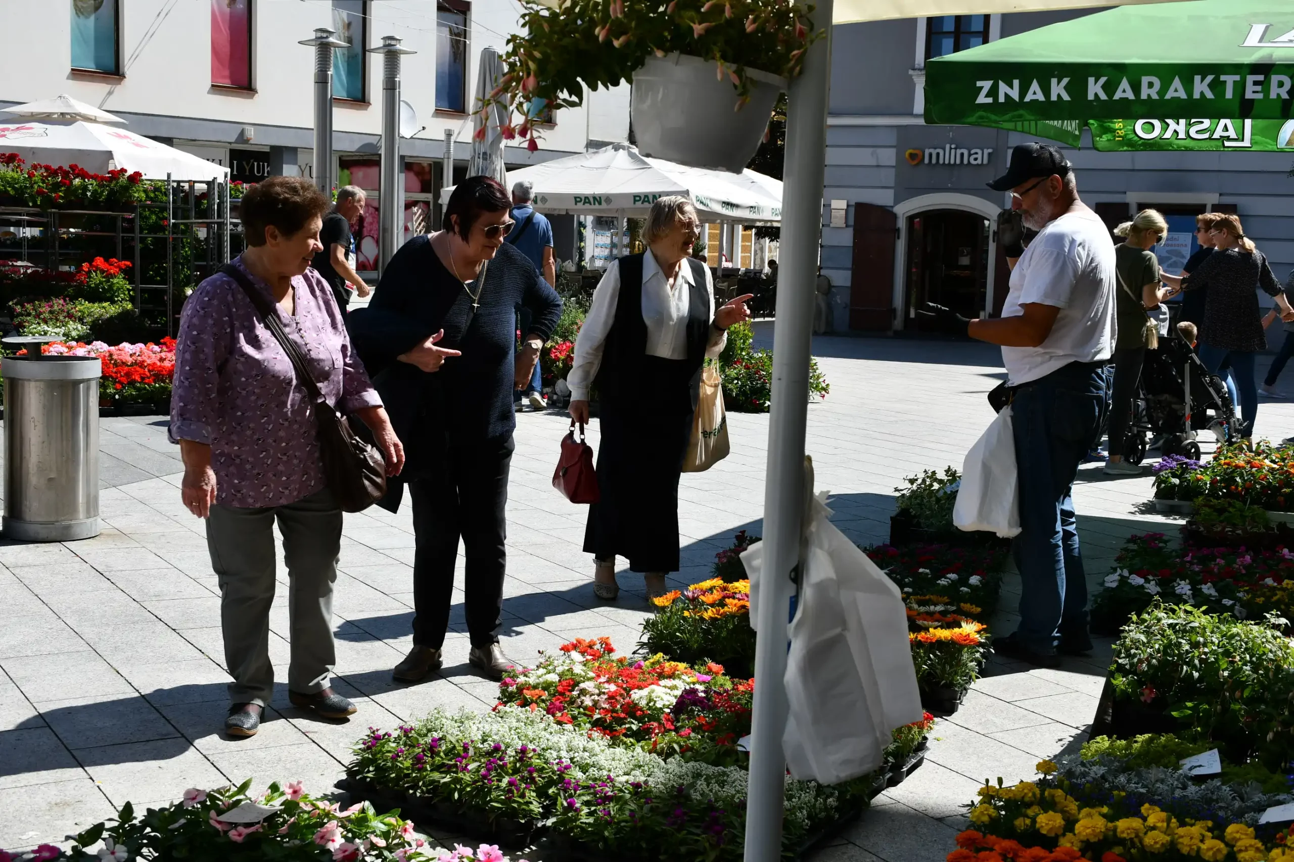 Festival cvijeća i jagoda 2024 (14) Festival cvijeća i jagoda 2024 (14)