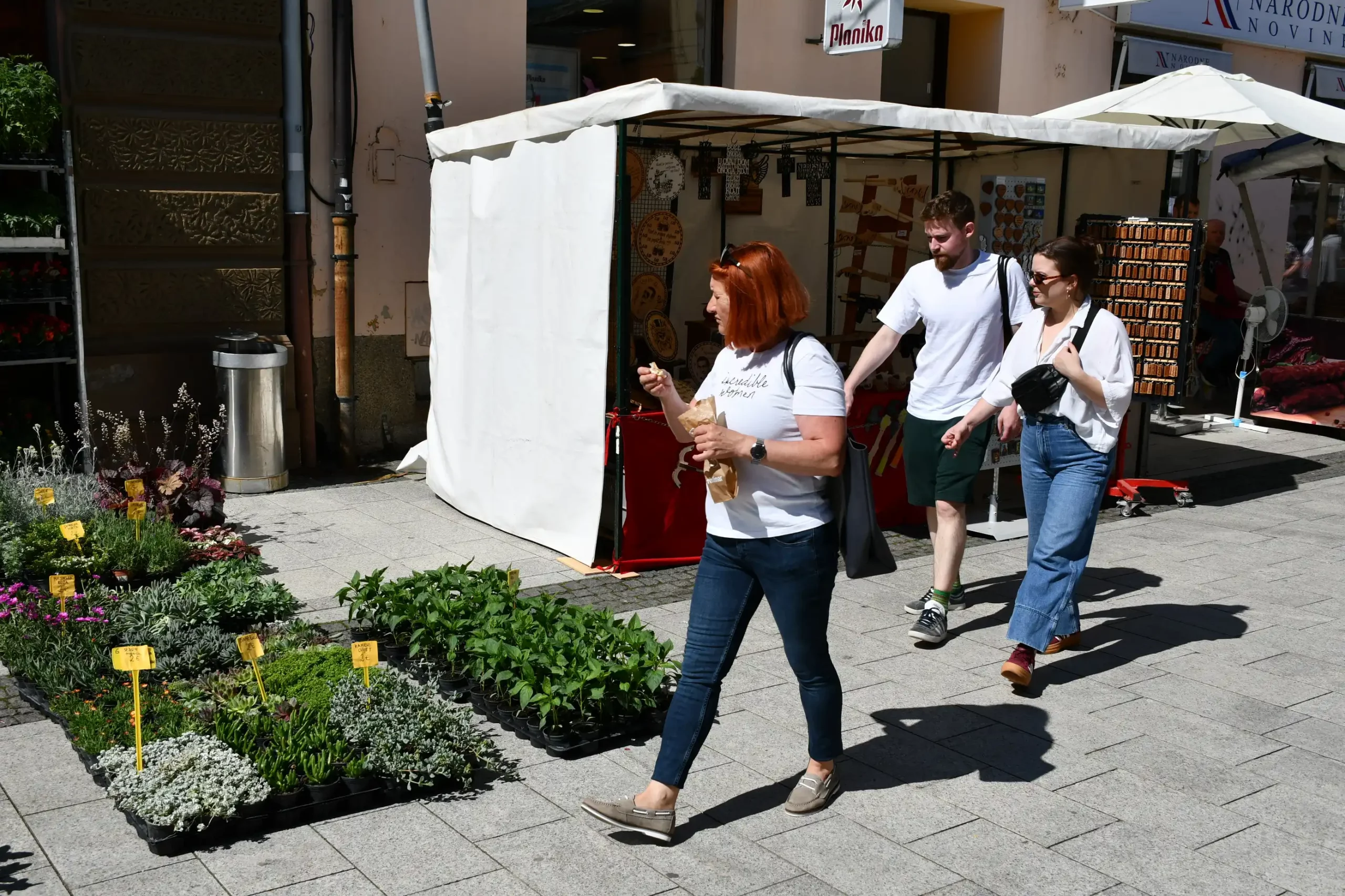 Festival cvijeća i jagoda 2024 (17) Festival cvijeća i jagoda 2024 (17)