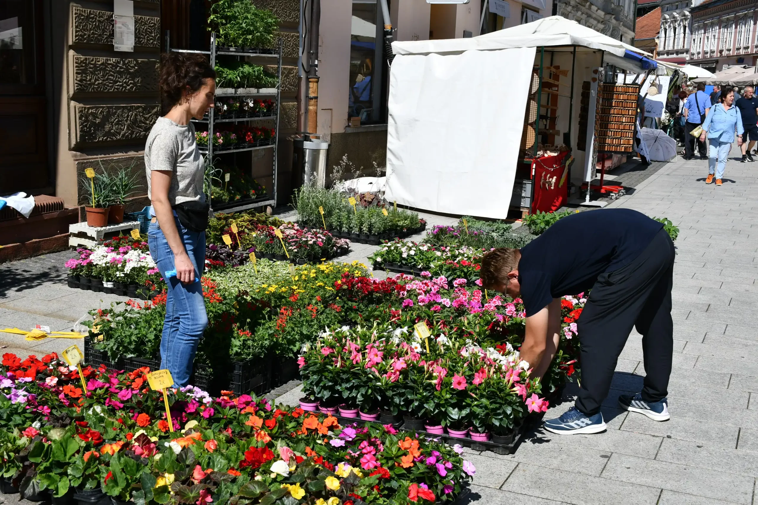 Festival cvijeća i jagoda 2024 (2) Festival cvijeća i jagoda 2024 (2)