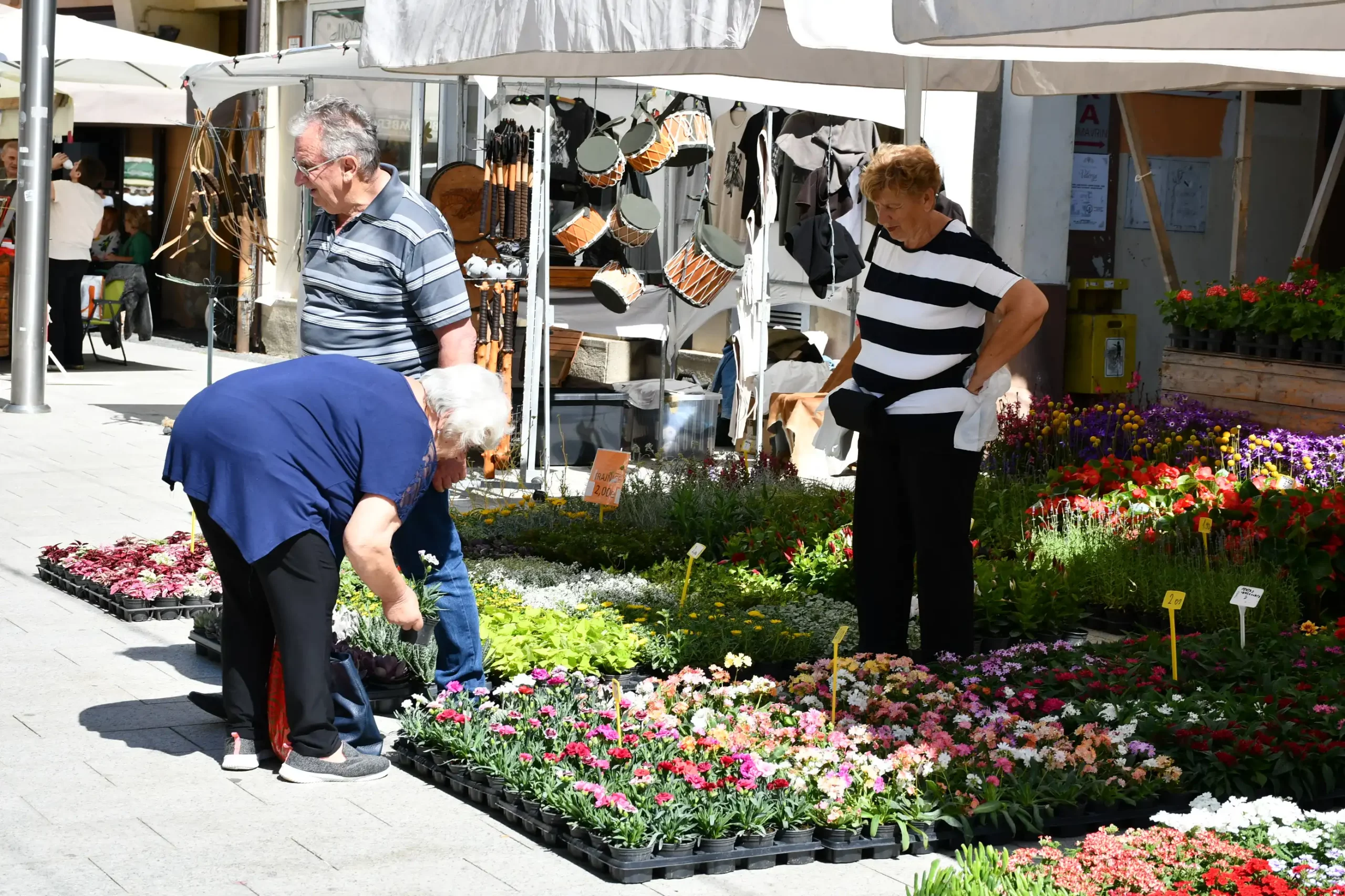 Festival cvijeća i jagoda 2024 (23) Festival cvijeća i jagoda 2024 (23)