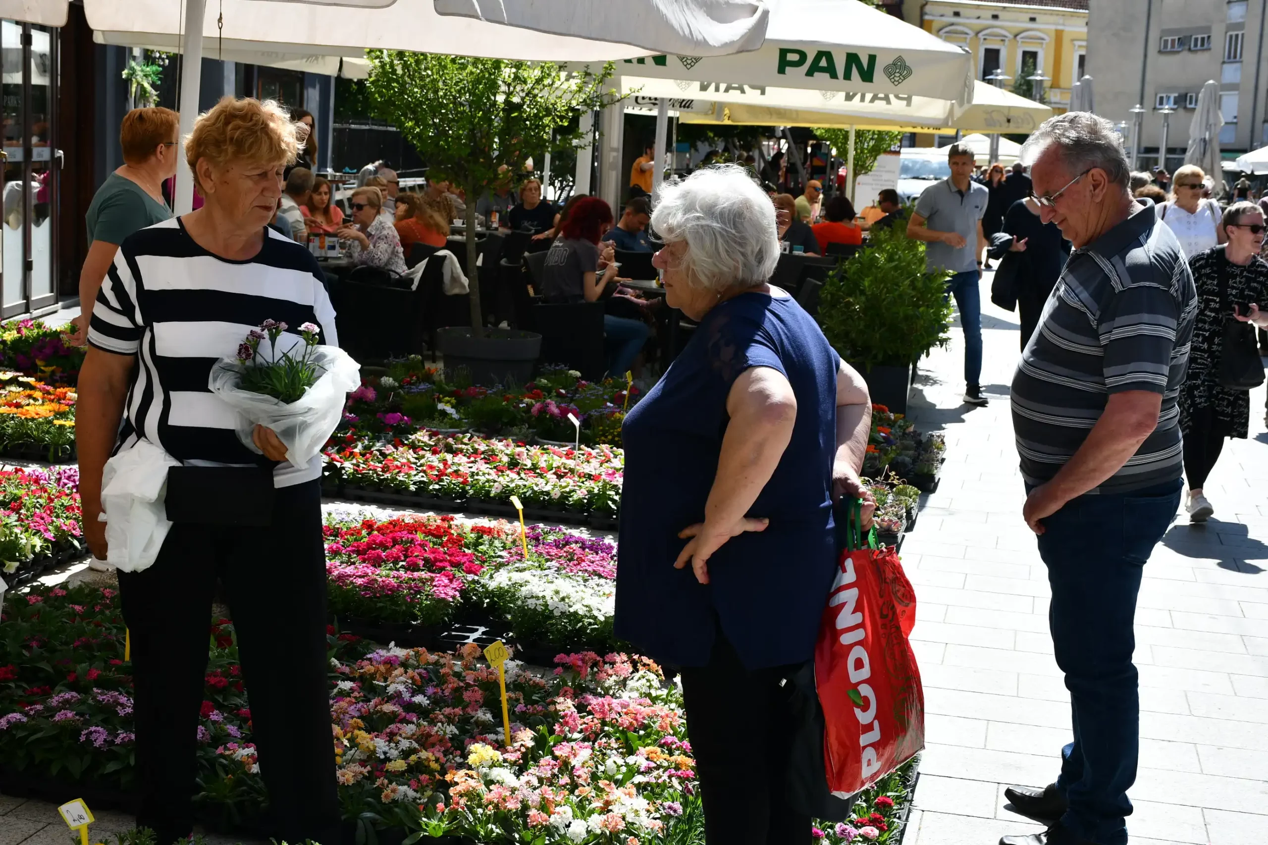 Festival cvijeća i jagoda 2024 (27) Festival cvijeća i jagoda 2024 (27)